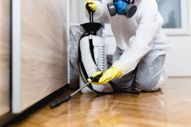 Best Wasp Removal Services  in Ridgebury, CT
