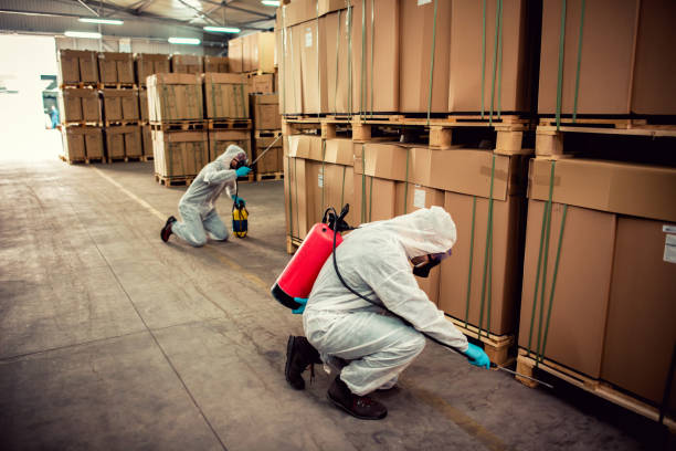Best Flea Control Services  in Ridgebury, CT