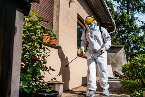 Best Emergency Pest Control  in Ridgebury, CT