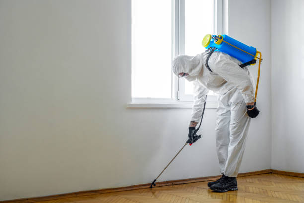 Best Residential Pest Control  in Ridgebury, CT