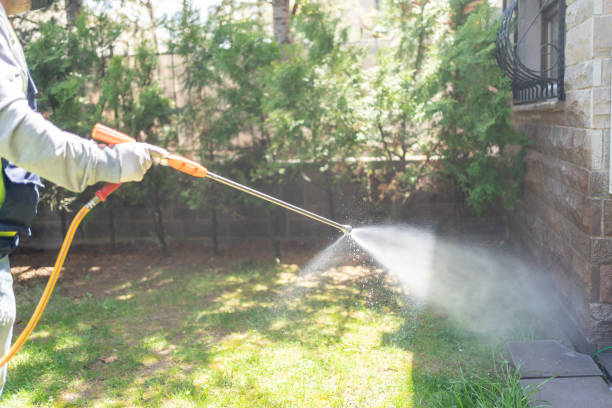 Best Pest Control for Businesses  in Ridgebury, CT