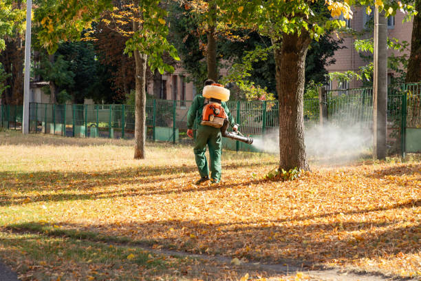 Best Pest Control Near Me in Ridgebury, CT
