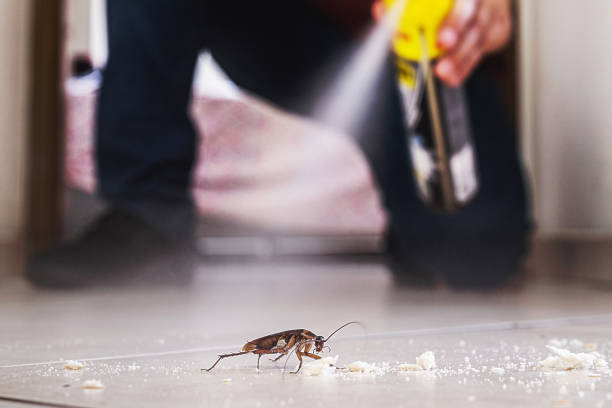 Best Wildlife Control Services  in Ridgebury, CT