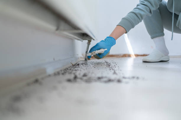 Best Pest Inspection Near Me  in Ridgebury, CT