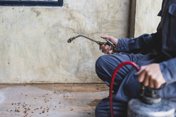 Best Termite Control Services  in Ridgebury, CT