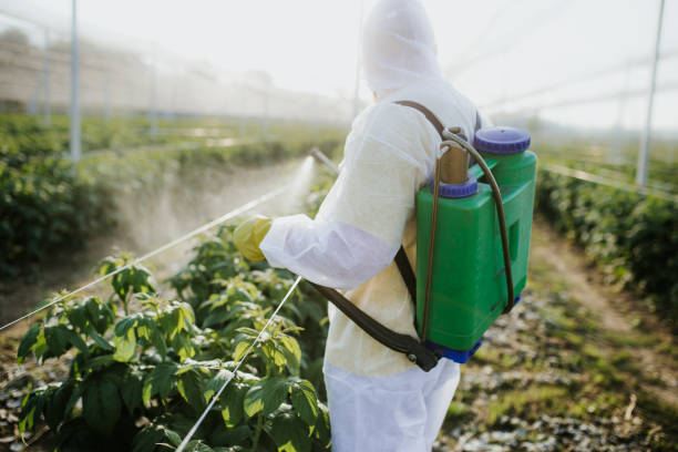 Best Bed Bug Extermination  in Ridgebury, CT